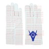 Senior Deacon Apron With Chain Collar & Gloves - Blue