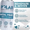 Polar Gloss Black Direct to Rust Spray Paint - 2