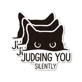 Pegatina de gato negro, pegatinas de vinilo impermeables para adultos, calcomanías para botellas de agua, portátil, Kindle, divertidas calcomanías para botellas de agua (3 unidades, 3 pulgadas)