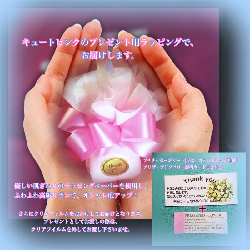 Floral Babydoll Preserved Flowers Rainbow Rose Jewelry Case