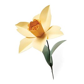 Sizzix Bigz L Die 665107 Daffodil by Olivia Rose