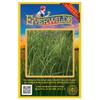 Everwilde Farms - 400 Cord Grass Native Grass Seeds -