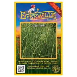 Everwilde Farms - 400 Cord Grass Native Grass Seeds - Gold Vault Jumbo Seed Packet