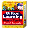 TestingMom.com Gifted Learning Flash Cards – Visual Spatial Concepts for