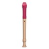 Mollenhauer 17212 Fipple Soprano Recorder, Tere, Berry, German Dopl. Soprano