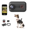 Camlance 2K Pet Collar Camera with Phone App 32GB SD