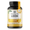 Hongo Melena de León 90 Cápsulas Sin Sabor Suplemento Alimenticio