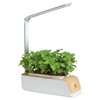 Levent PP310 Home Smart Farm Plant Cultivator / 레벤트 PP310 가정용 스마트팜 식물재배기