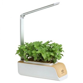 Levent PP310 Home Smart Farm Plant Cultivator / 레벤트 PP310 가정용 스마트팜 식물재배기