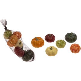 Boston International Fall Autumn Harvest Thanksgiving Tabletop Decoration, Mini Sizes, Bag of Autumn Gourds