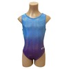 LIL'FOX Gymnastics Leotards for Girls - EVOLVE - Kids Dance,