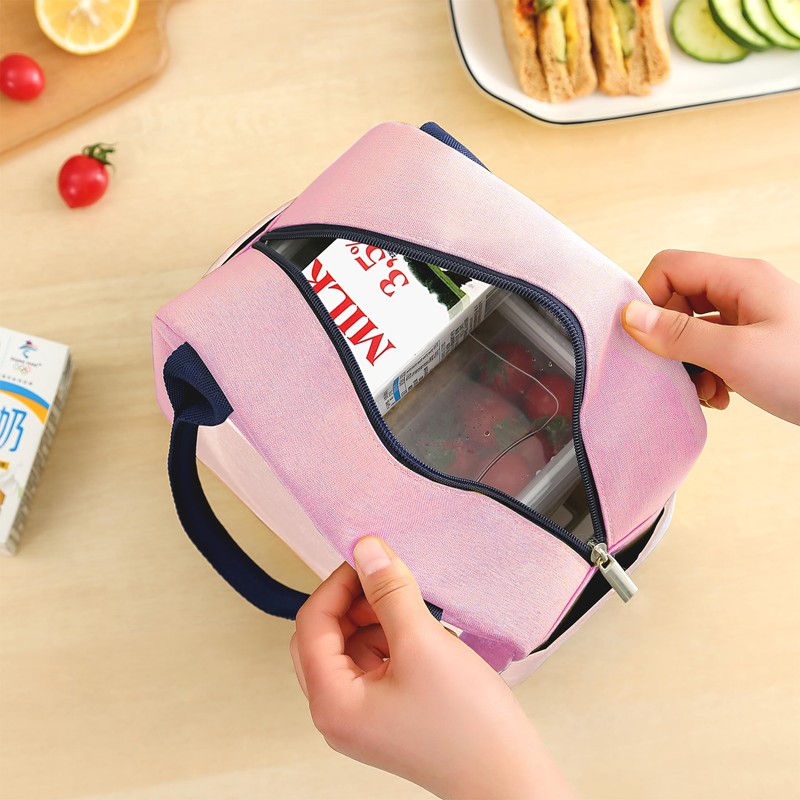BJDAMAI Dinosaur Bento Bag, Thermal Insulated Cooler Lunch Bento Tote