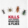 Raid Multi Insect Killer, Kills Ants, Spiders, Roaches and Flies,