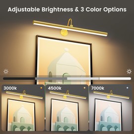 Bridika 2 Pack 23.6in Wireless Picture Light Battery Operated with Remote, 3 Color Temperatures and Dimmable Classic Art Lights for Pictures on Wall, Dartboard, Bedroom, Bathroom with Timer Gold