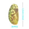 Lodkksg 30pcs Green Donkey Ear Abalone Shells, Natural Oyster Shells,