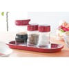 Squirrel Seasoning Tray, Oval, Red, W10.6 x D4.3 x H0.8