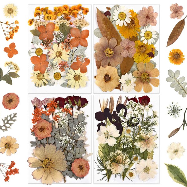 DALARAN 95Pcs Orange Dried Pressed Flowers for Resin Molds Real