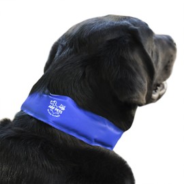 Arf Pets Dog Cooling Collar, 100% Non-Toxic Material, Relieves Heat Stress - Stays Cool for Hours