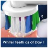 Oral-B ORAL B Electric Toothbrush Replacement Brush Heads, Free Shipping