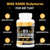 Beta-Ecdysterone Supplement 1200 mg | 98% Maximum Purity, 60 Pieces