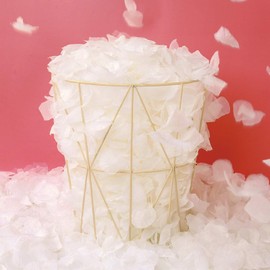 Neo LOONS 1000 Pcs Artificial Silk Rose Petals Decoration Wedding Party Color Ivory