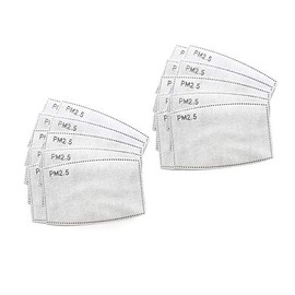 Spring Notion PM 2.5 Activated Carbon Filter Insert Large 20 Count