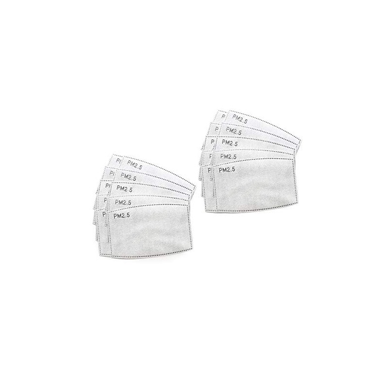 Spring Notion PM 2.5 Activated Carbon Filter Insert Large 20