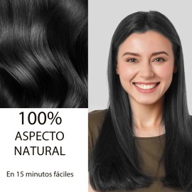 Shampoo Con Tinte De Cubre Canas Natural Jengibre 500ml                                                                                               