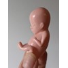 1 hard plastic model fetus, unusual medical fetal doll, abortion