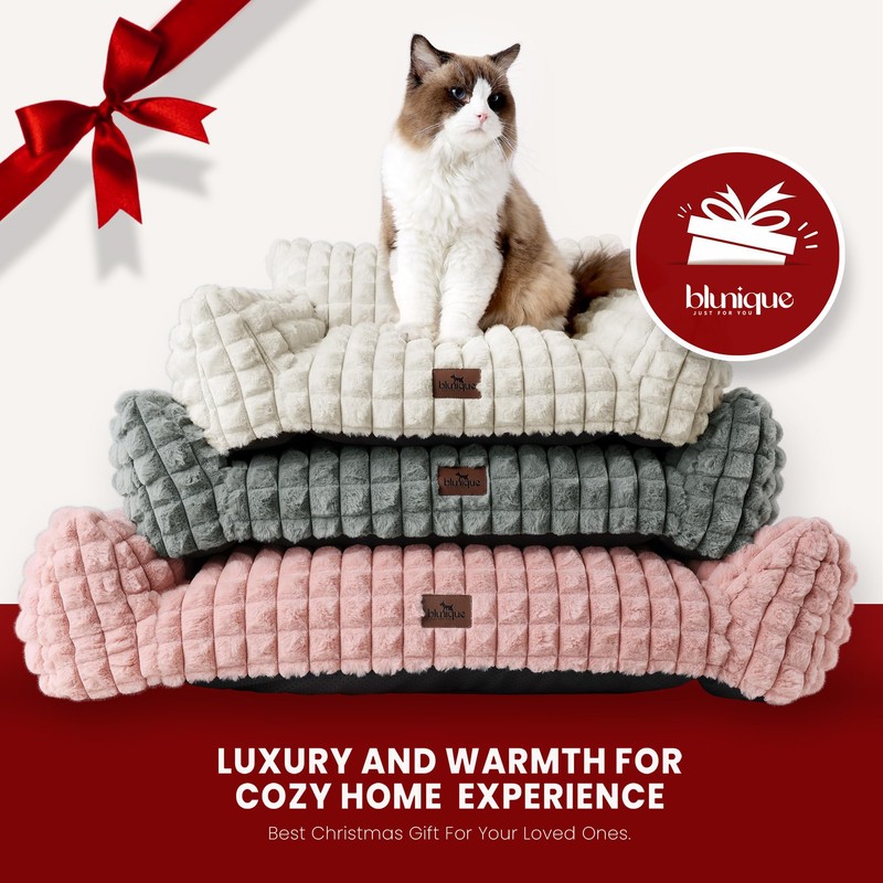 blunique Cat Beds for Indoor Cats - Cute Cat Couch