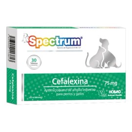 Cefaxal 60ml Suspensión Oral ** Diprofa'q **
