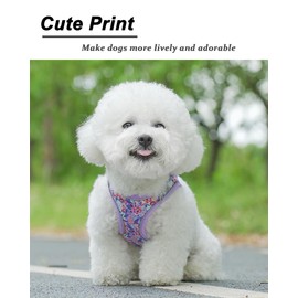 JUFOO S Light Purple Flower Pattern Dog Harness and Leash Set,No Escape Easy Walk Puppy Harnesses for Training Walking，Breathable Adjustable Puppy Vest for Small Medium Dogs, Cats (Light Purple, S)