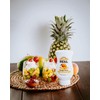 Reàl Infused Exotics Tropical Fruit Flavoring Syrup Variety - 2x