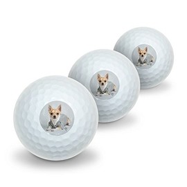 GRAPHICS & MORE Chihuahua Little Dog in a Sweater Novelty Golf Balls 3 Pack