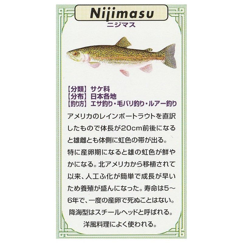 KAJIKAWA Vintage FISH PINS Pin Badge Freshwater Fish Rainbow Trout