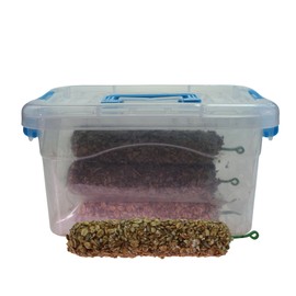 PETSEEN Oat & Fruit Sticks for Parrot and Small Animals, Pack of 6 Each 2 Sticks