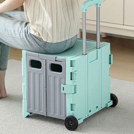 LW Foldable Shopping Cart - 2-Wheel / 4-Wheel Folding Basket Hand Truck Wagon E7439 Foldable Shopping Cart, 4-Wheel, Mint 2ea