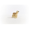 Schleich Farm World Afghan Hound Figure 13938