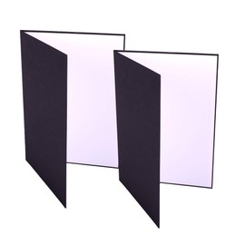 Lens-Aid 3-in-1 Folding Reflector for Photo Studio: Cardboard to Brighten, Contrast and Illuminate in White, Black, Silver (A4 Pack of 2)