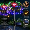 Solar Firework Garden Lights for Outdoor Decor – Waterproof Dandelion