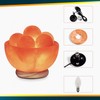 Himalayan Glow Pink Salt Lamp with 5 Stone Massage Balls,