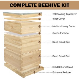 BEEINN Bee Hive Boxes 10 Frame Langstroth Beehive,Complete Beehive Kit Includes 2 Deep Brood Bee Hives Box, 1 Medium Super Bee Box with Beehive Frames and Foundation