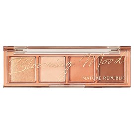 Nature Republic Daily Basic 4-Color Palette, 04 Coral, 1 Piece / 네이처리퍼블릭 데일리 베이직 4구 팔레트, 04 코랄, 1개