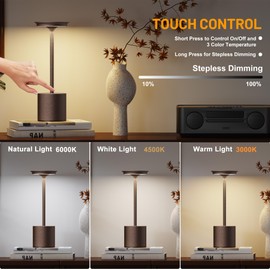 Cordless Rechargeable LED Table Lamp 6000mAh Battery Powered Waterproof Desk Lamp,Portable Touch Tabletop 3 Color Stepless Dimming Light For Indoor/Outdoor/Dinning/Patio/Restaurant(Rust 2 Pack)
