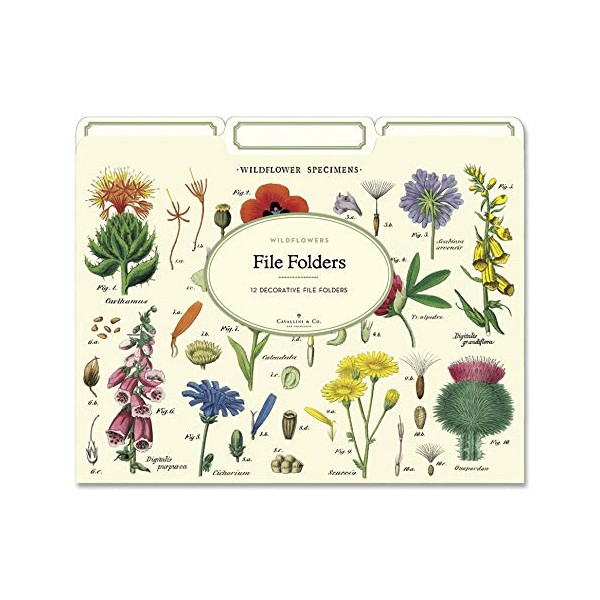 Wildflowers File Folders