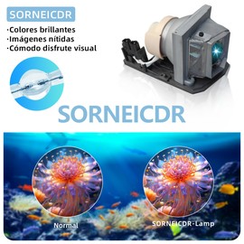 SORNEICDR Replacement Projector Lamp Compatible with Acer EC.JBU00.001 X110P X1161P X1261P H110P X1161PA X1161N Replacement Lamp with Housing