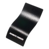 PRISMATIC POWDERS® Villain Black (1 LB/PRB-1203) - The Powder Coat
