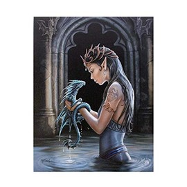 ANNE STOKES WP_75422 Plaque, Multicoloured, 20x26 cm