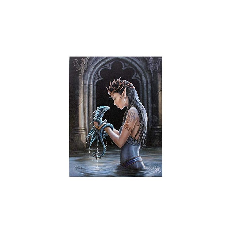 ANNE STOKES WP_75422 Plaque, Multicoloured, 20x26 cm