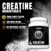 Creatine Monohydrate Powder, Micronized, Unflavored, Pre Workout & Post Workout